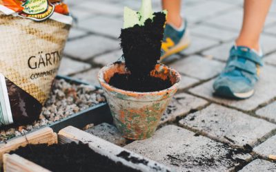 3 tuin inspiratietips voor de zomer